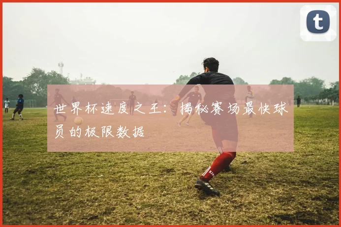 世界杯速度之王：揭秘赛场最快球员的极限数据