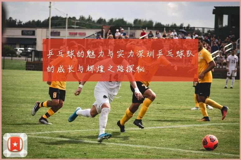 乒乓球的魅力与实力深圳乒乓球队的成长与辉煌之路探秘