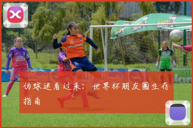 伪球迷看过来:世界杯朋友圈生存指南
