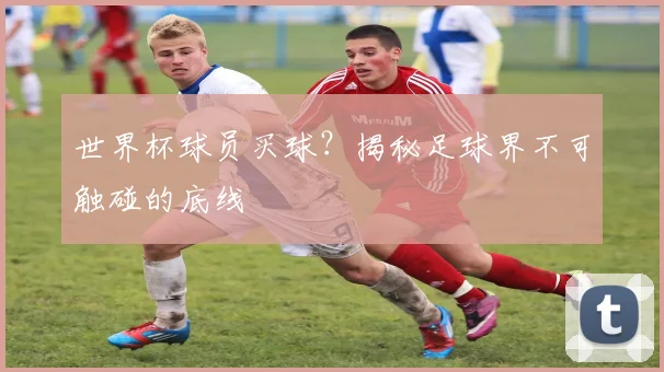 世界杯球员买球？揭秘足球界不可触碰的底线