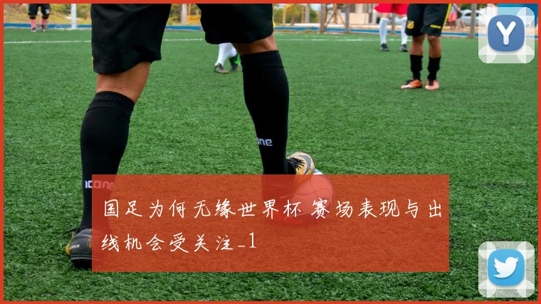 国足为何无缘世界杯 赛场表现与出线机会受关注_1