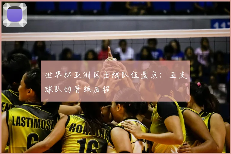 世界杯亚洲区出线队伍盘点：五支球队的晋级历程