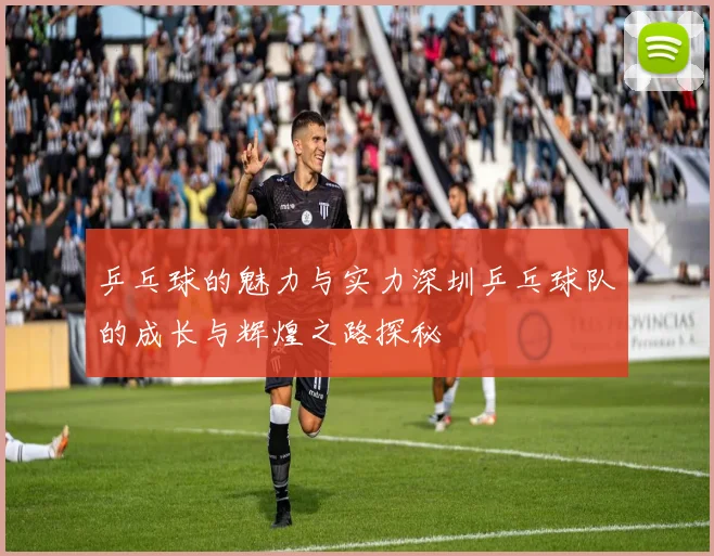 乒乓球的魅力与实力深圳乒乓球队的成长与辉煌之路探秘