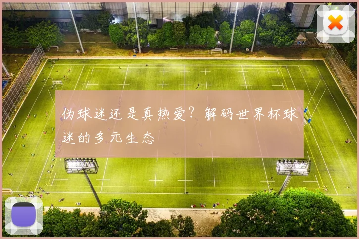 伪球迷还是真热爱？解码世界杯球迷的多元生态