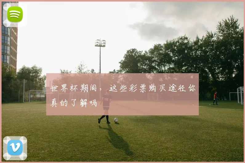 世界杯期间，这些彩票购买途径你真的了解吗