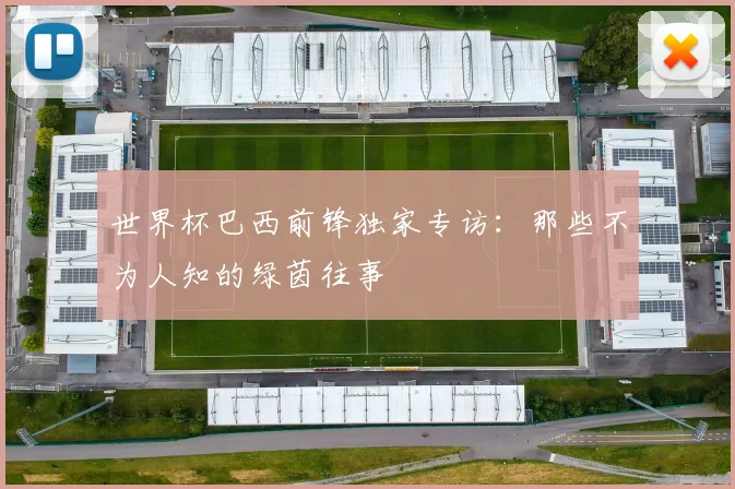 世界杯巴西前锋独家专访：那些不为人知的绿茵往事