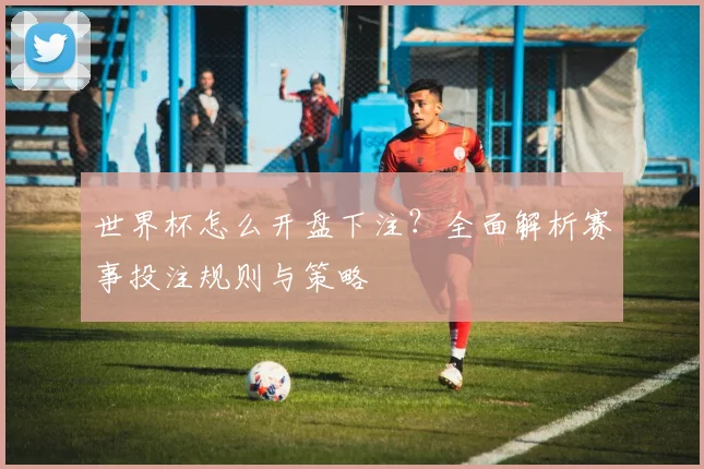 世界杯怎么开盘下注？全面解析赛事投注规则与策略