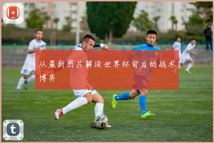 从最新图片解读世界杯背后的战术博弈