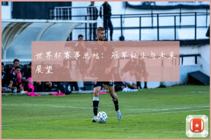 世界杯赛事总结:冠军诞生与未来展望