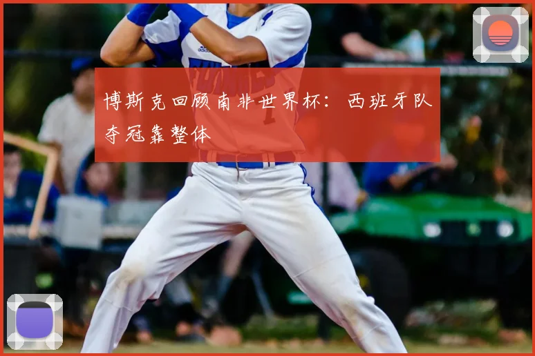 博斯克回顾南非世界杯：西班牙队夺冠靠整体