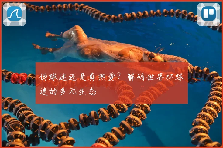 伪球迷还是真热爱?解码世界杯球迷的多元生态
